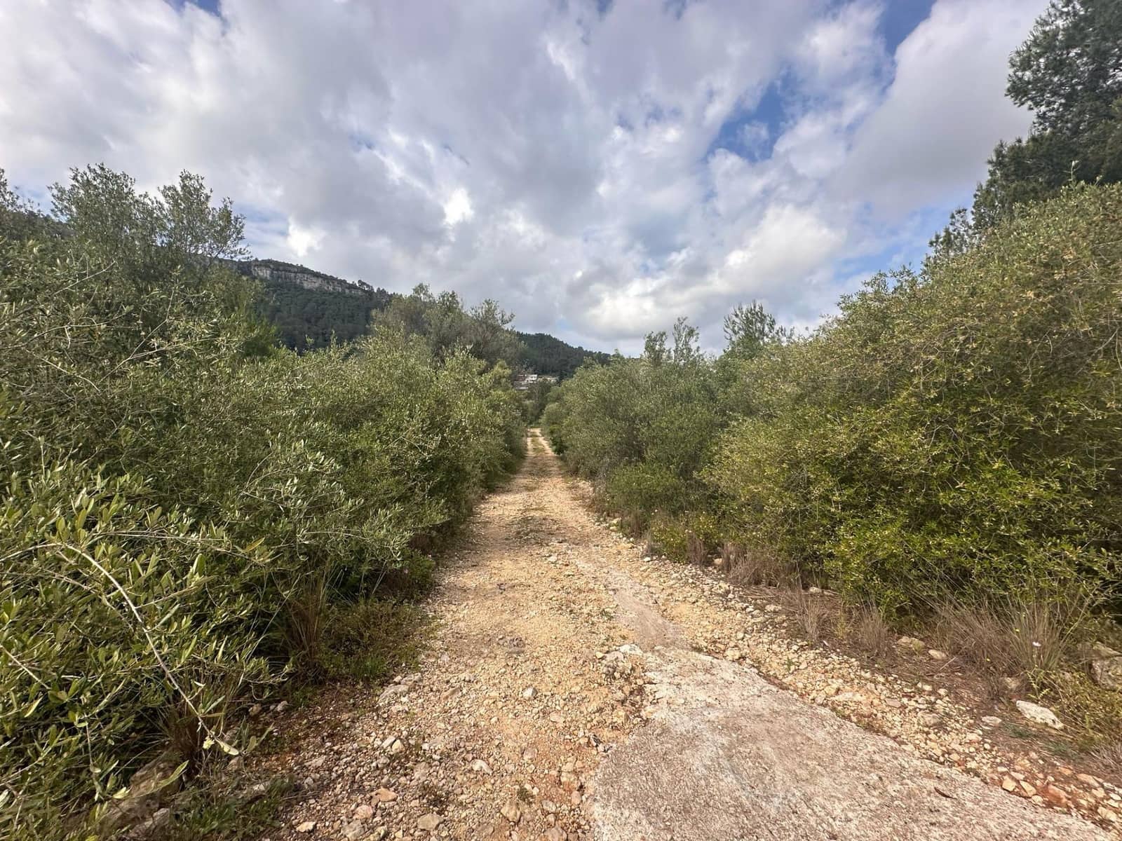 Ubebygd land til salgs i Alzira - € 25 000 (Ref: 9048707)