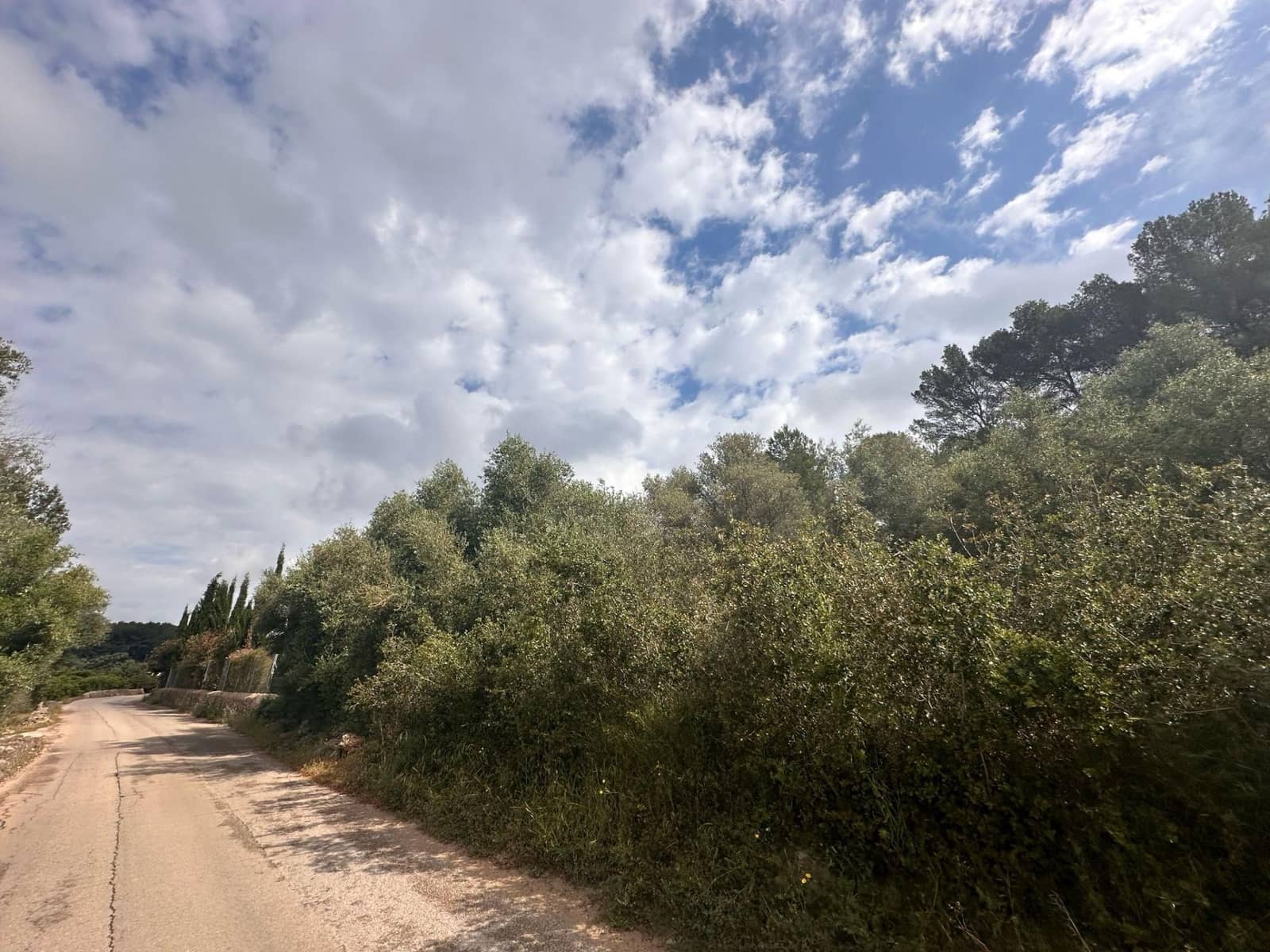 Ubebygd land til salgs i Alzira - € 25 000 (Ref: 9048707)
