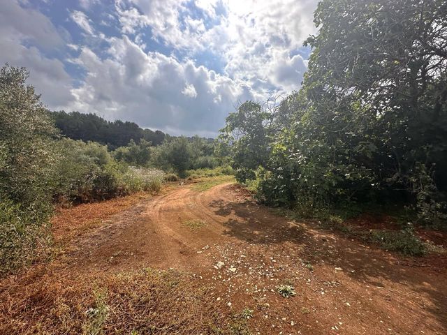 Ubebygd land til salgs i Alzira - € 25 000 (Ref: 9048707)