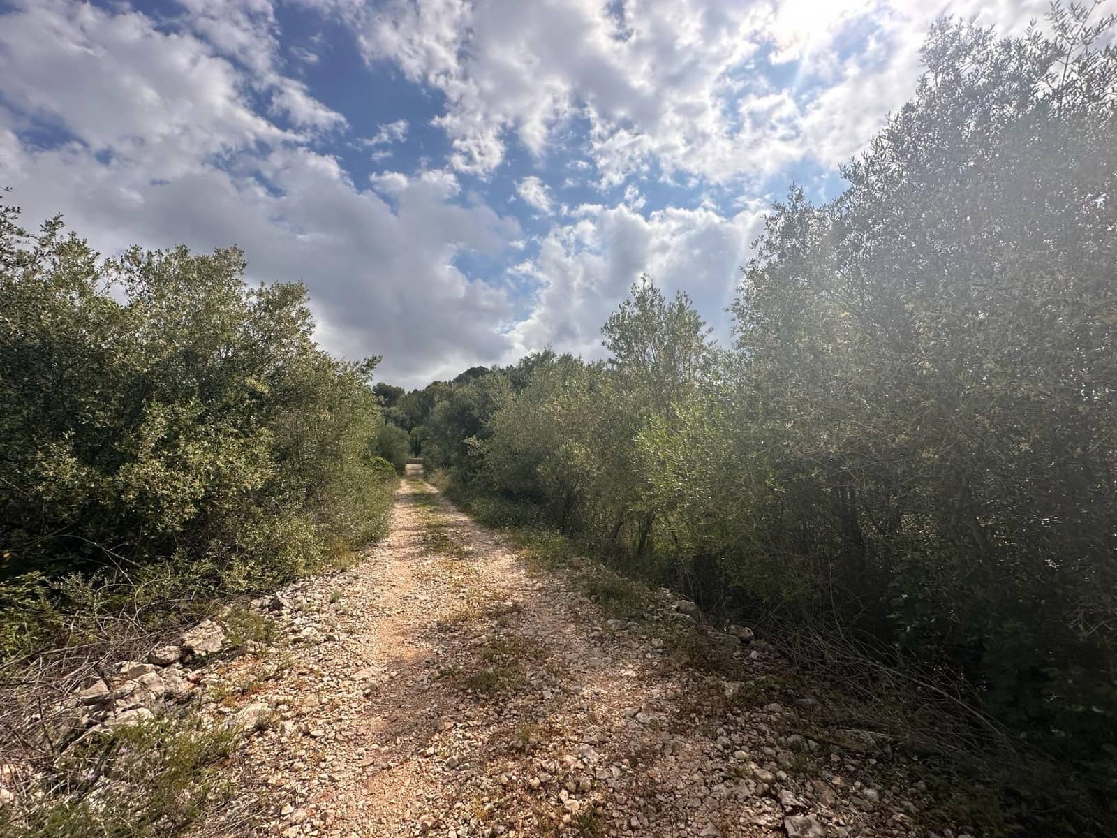 Ubebygd land til salgs i Alzira - € 25 000 (Ref: 9048707)
