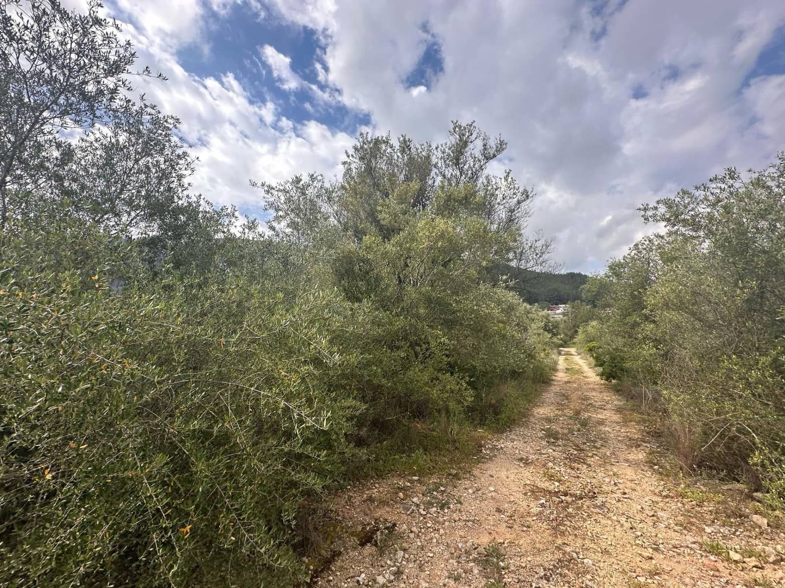 Ubebygd land til salgs i Alzira - € 25 000 (Ref: 9048707)