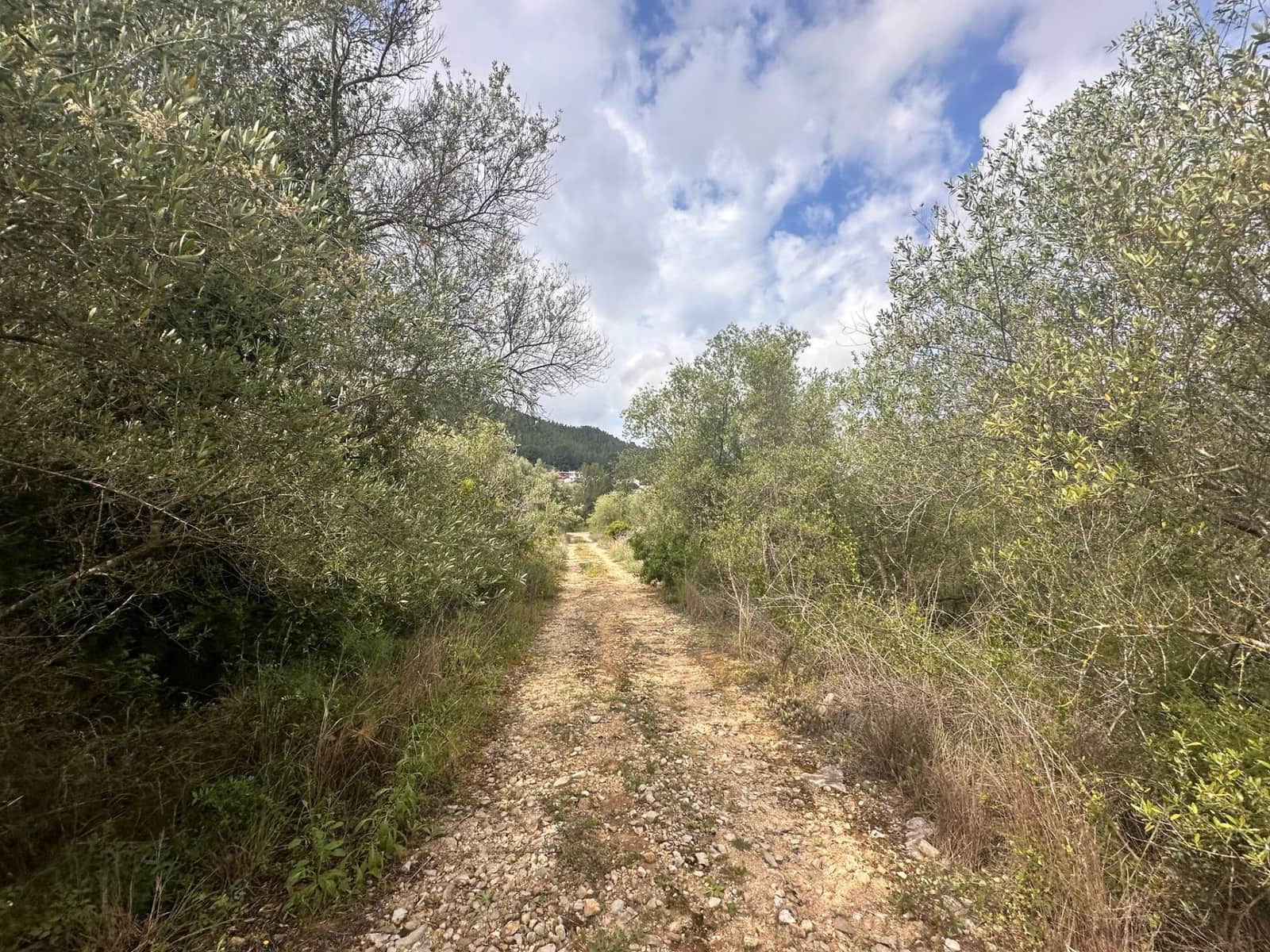 Ubebygd land til salgs i Alzira - € 25 000 (Ref: 9048707)