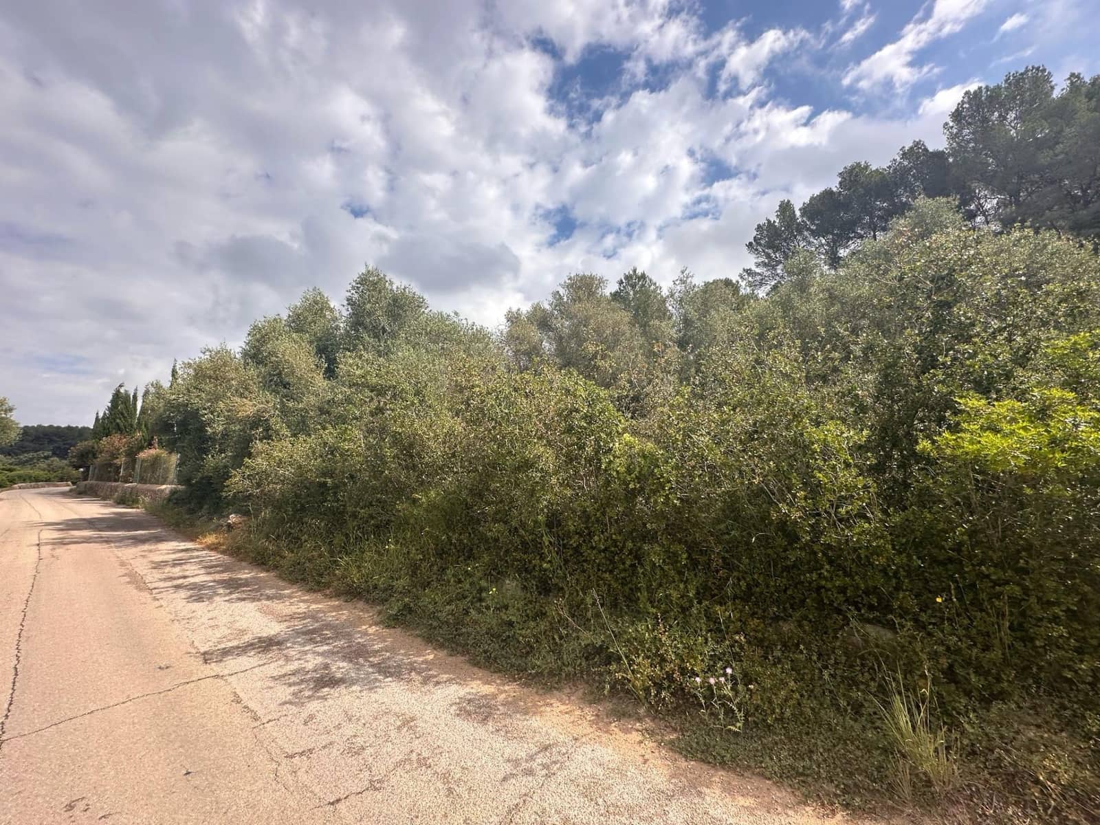Ubebygd land til salgs i Alzira - € 25 000 (Ref: 9048707)