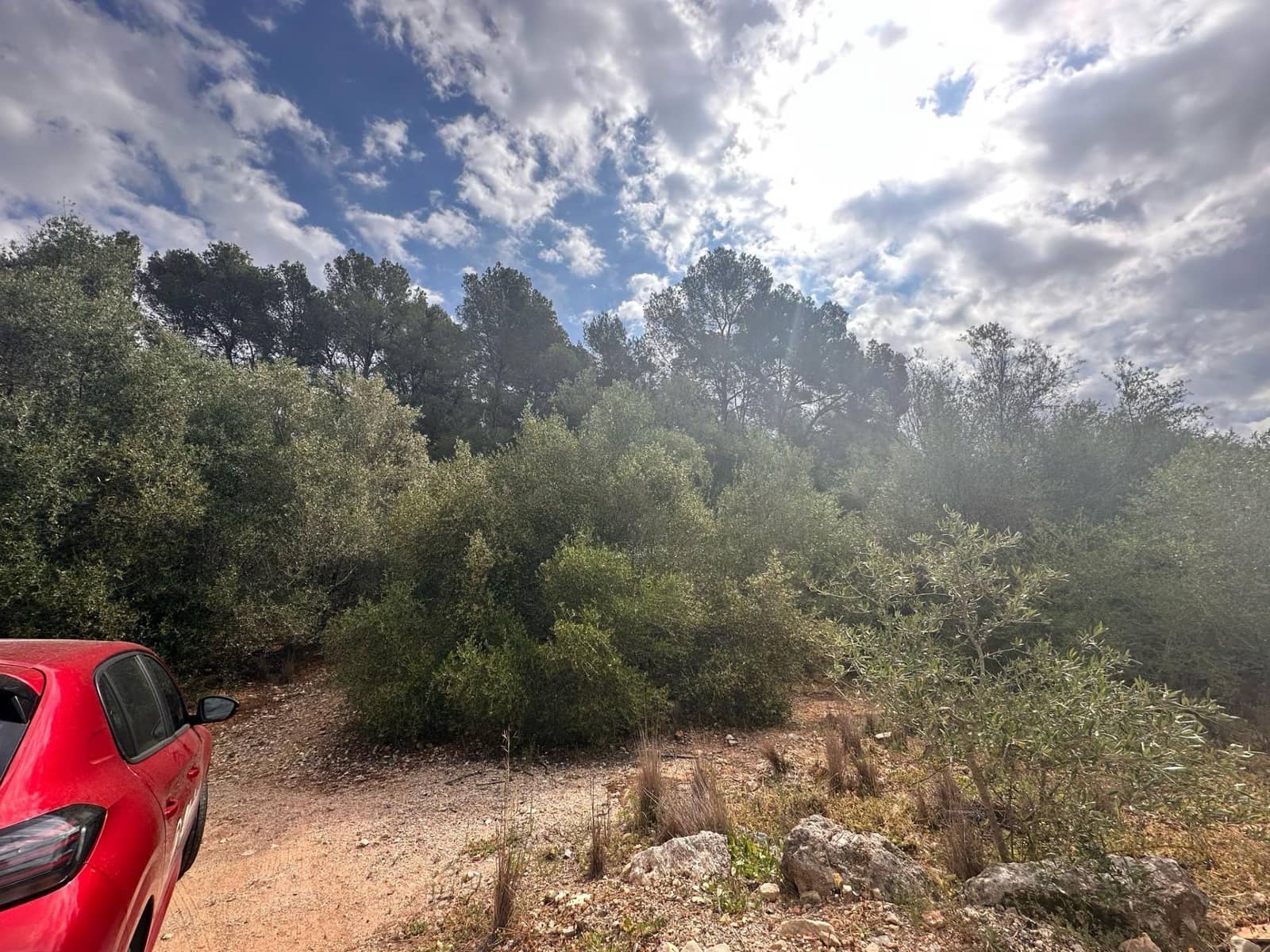 Ubebygd land til salgs i Alzira - € 25 000 (Ref: 9048707)