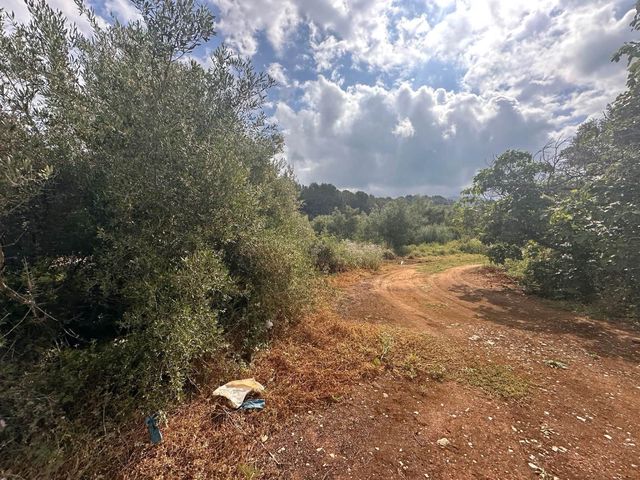 Ubebygd land til salgs i Alzira - € 25 000 (Ref: 9048707)
