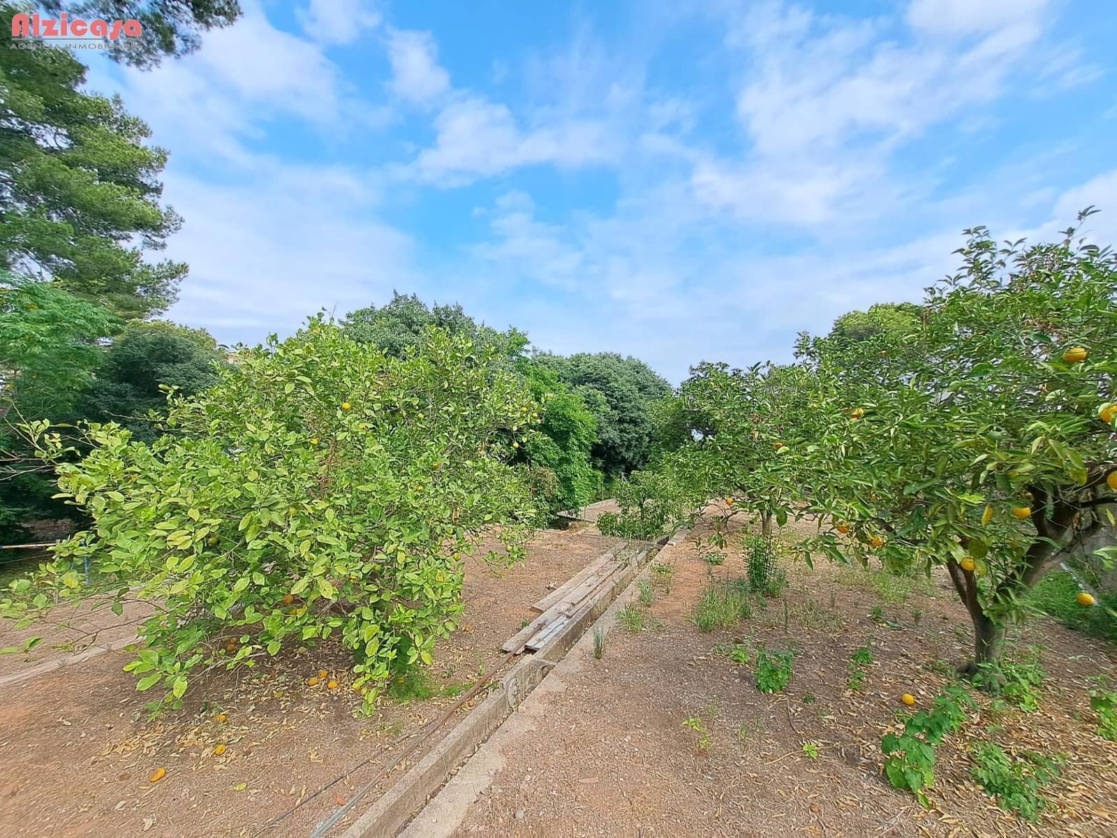 4 soveværelse Villa til salg i Alzira med swimmingpool - € 330.000 (Ref: 9118659)