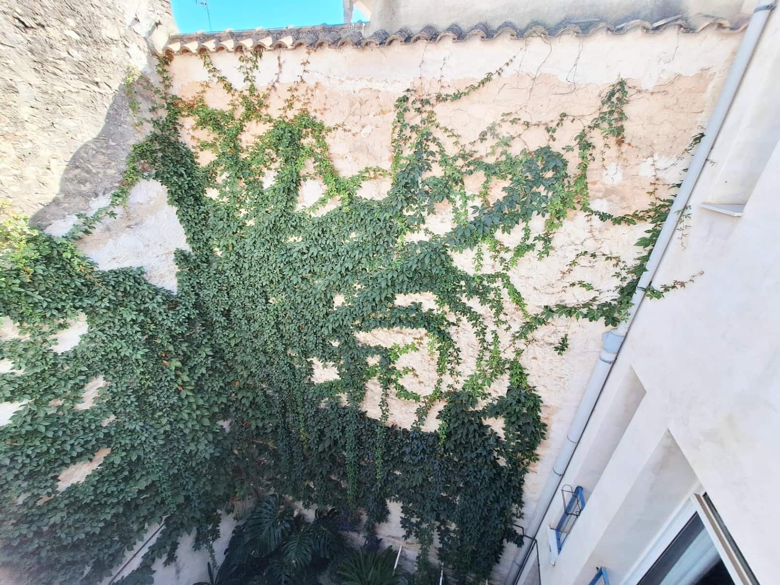 2 sypialnia Dom na sprzedaż w Carcaixent - 195 000 € (Ref: 9243371)