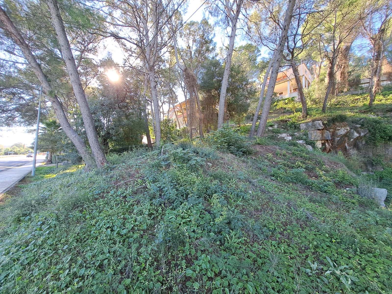 Byggegrund til salg i Alzira - € 56.000 (Ref: 9347328)