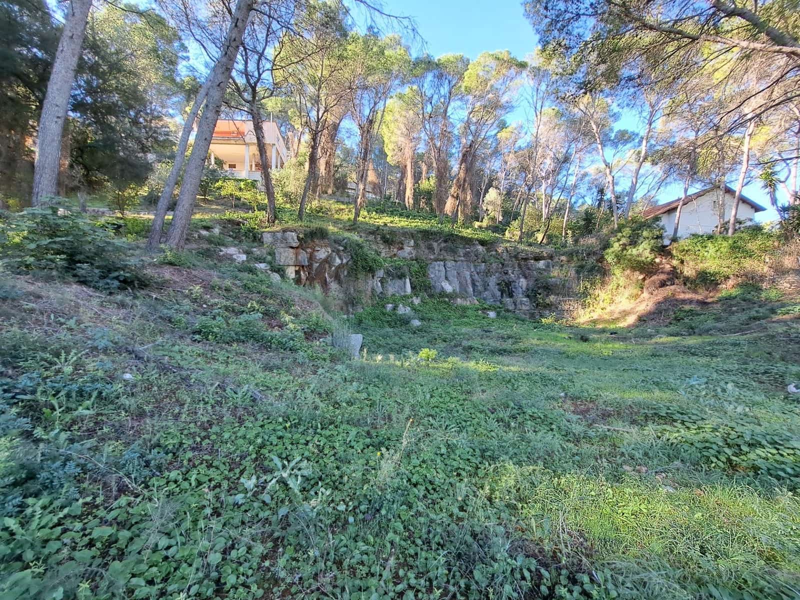 Byggegrund til salg i Alzira - € 56.000 (Ref: 9347328)