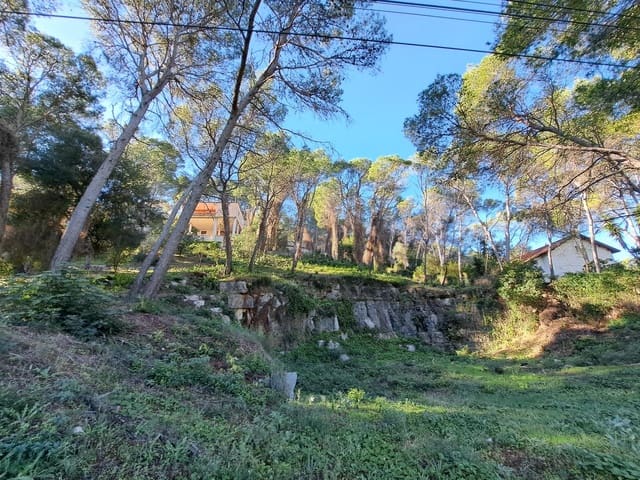 Building Plot for sale in Alzira - € 56,000 (Ref: 9347328)