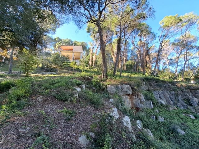 Building Plot for sale in Alzira - € 56,000 (Ref: 9347328)