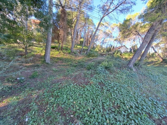 Building Plot for sale in Alzira - € 56,000 (Ref: 9347328)