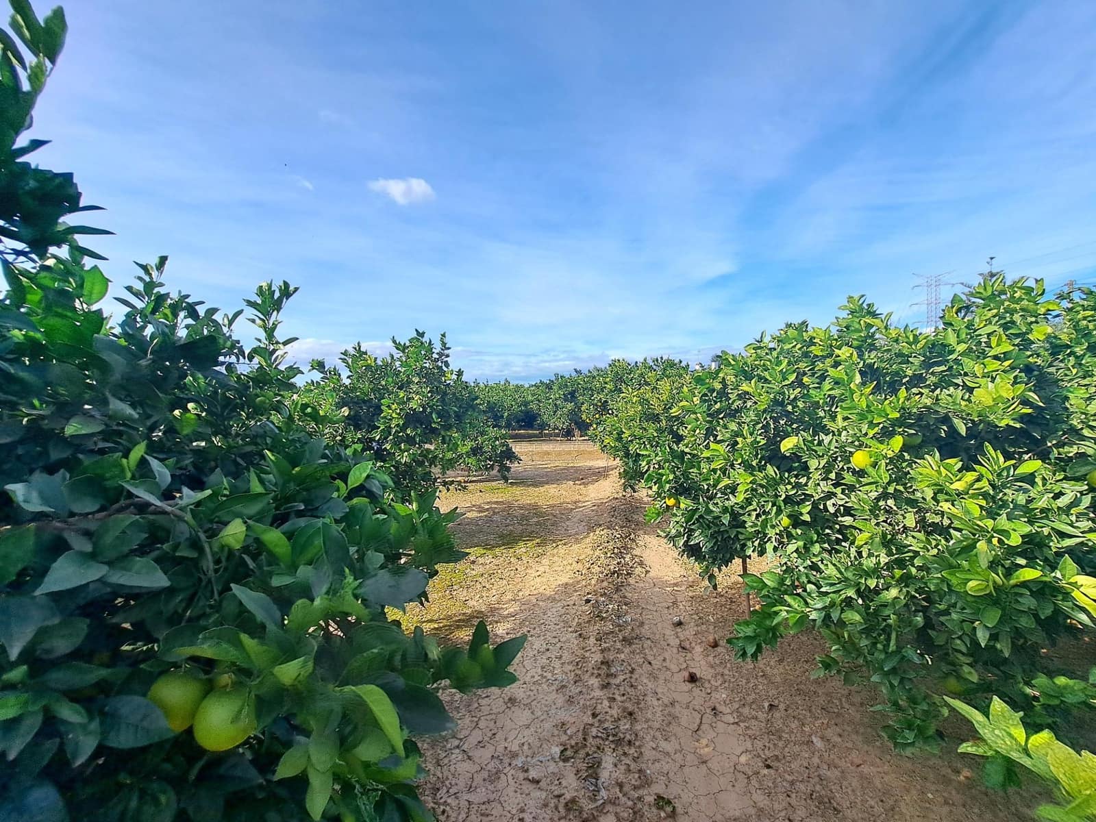 Grond te koop in Alzira - € 35.000 (Ref: 9385563)