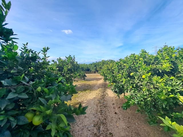 Undeveloped Land for sale in Alzira - € 35,000 (Ref: 9385563)