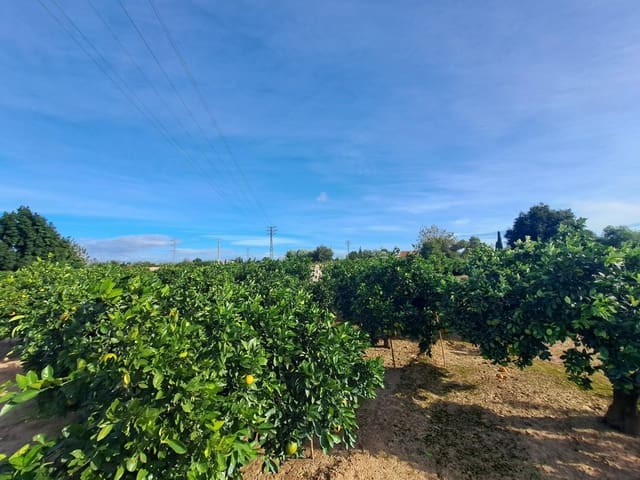 Undeveloped Land for sale in Alzira - € 35,000 (Ref: 9385563)