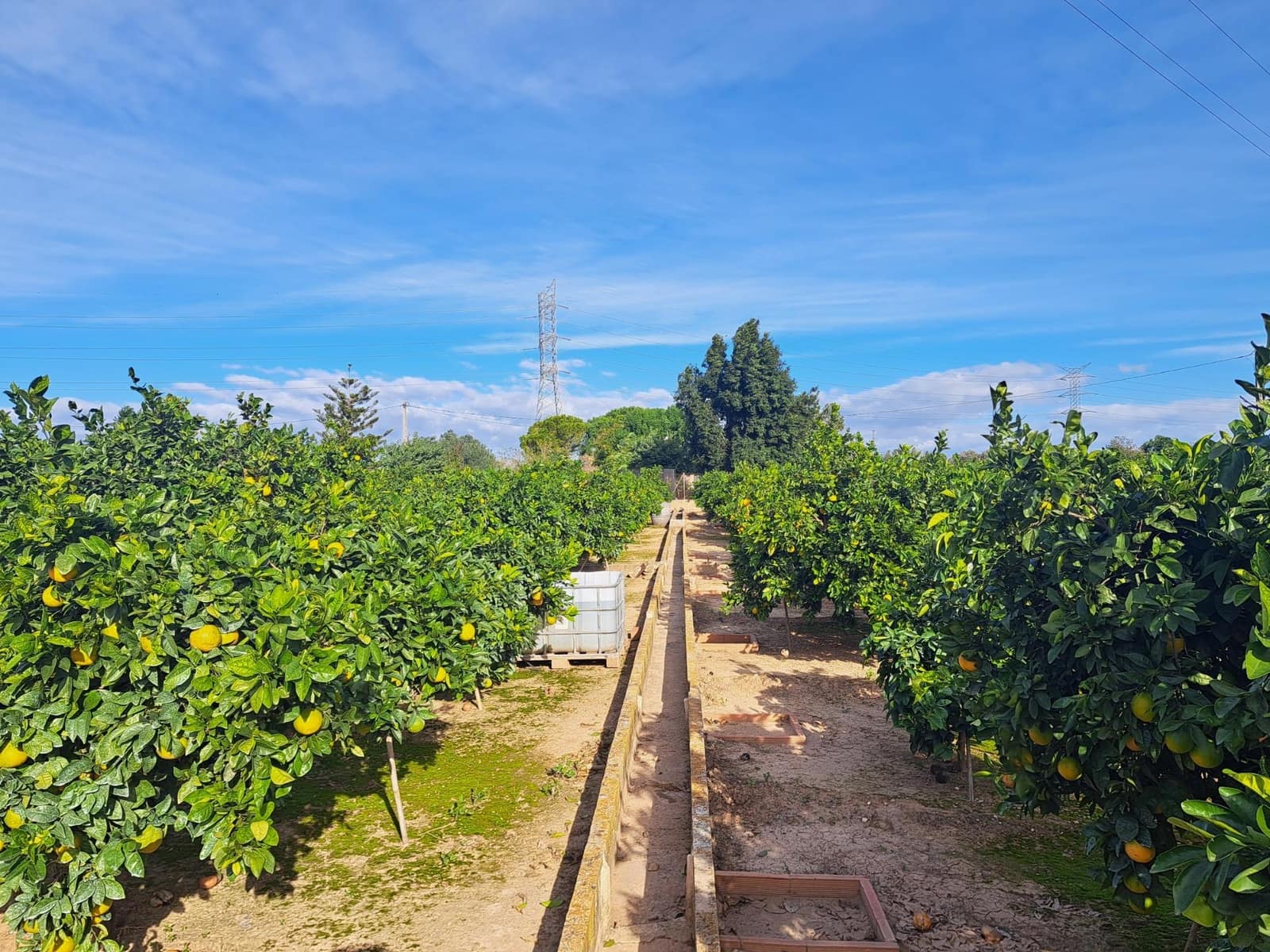 Grond te koop in Alzira - € 35.000 (Ref: 9385563)