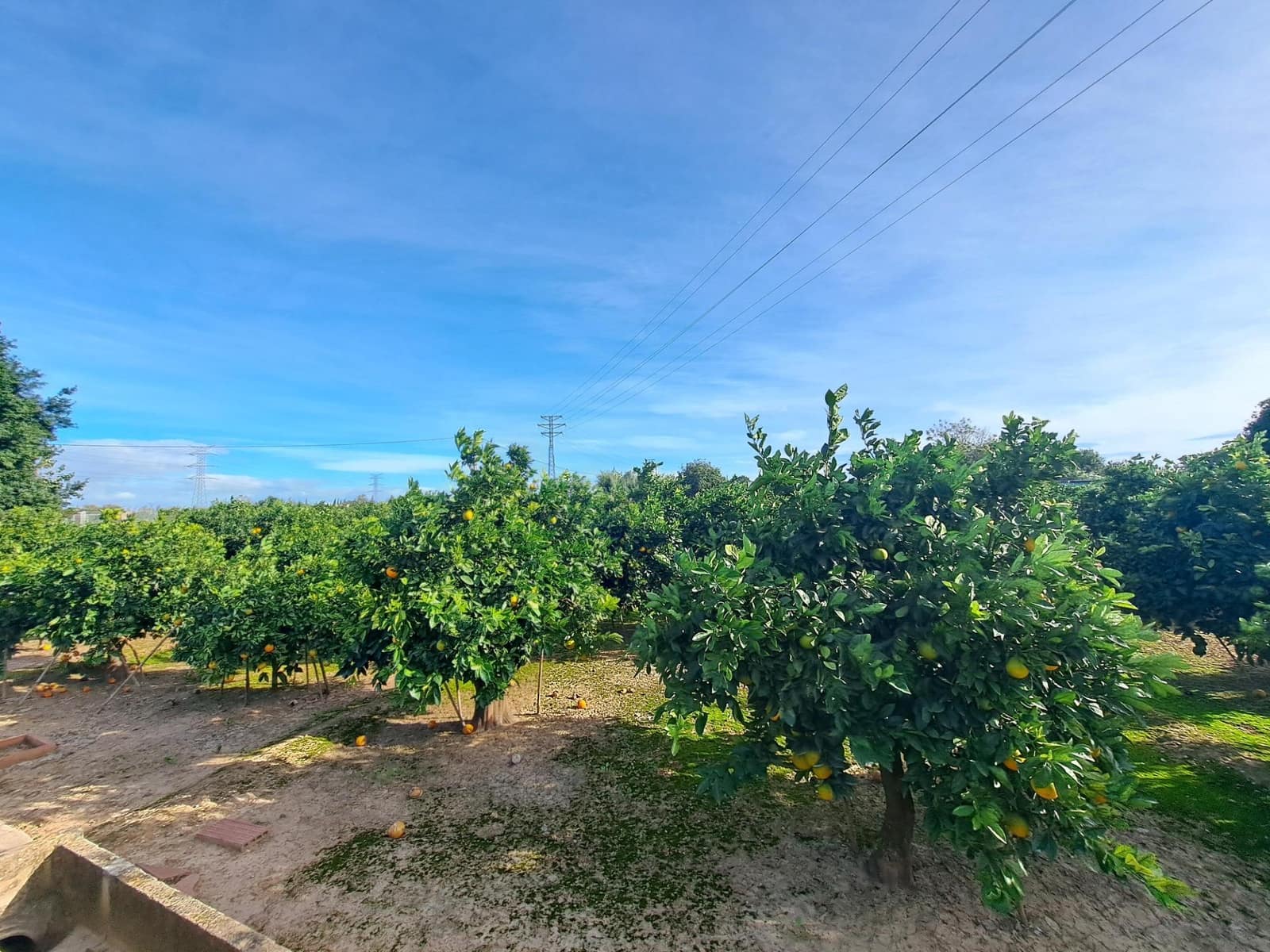 Grond te koop in Alzira - € 35.000 (Ref: 9385563)