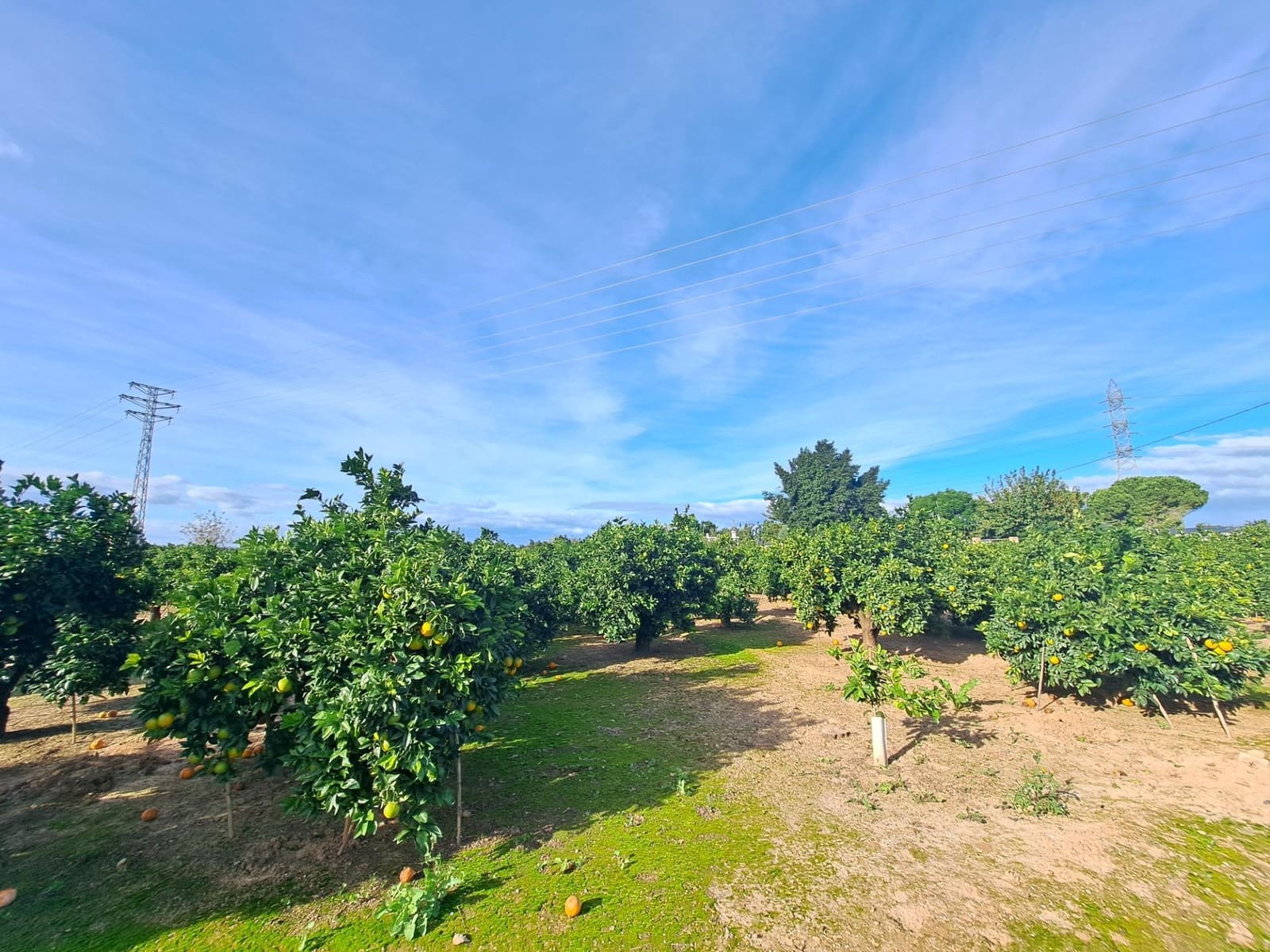 Grond te koop in Alzira - € 35.000 (Ref: 9385563)