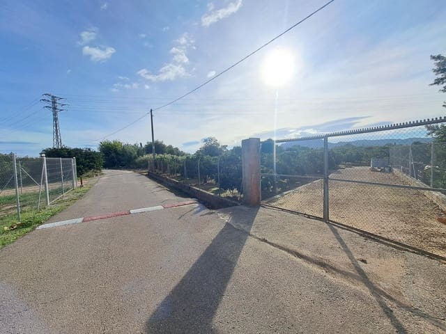 Undeveloped Land for sale in Alzira - € 35,000 (Ref: 9385563)