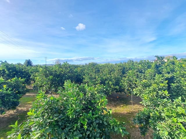 Undeveloped Land for sale in Alzira - € 35,000 (Ref: 9385563)