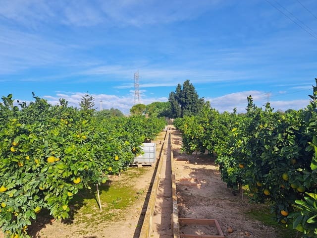 Undeveloped Land for sale in Alzira - € 35,000 (Ref: 9385563)