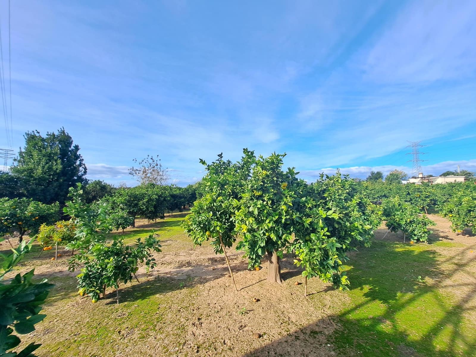 Grond te koop in Alzira - € 35.000 (Ref: 9385563)