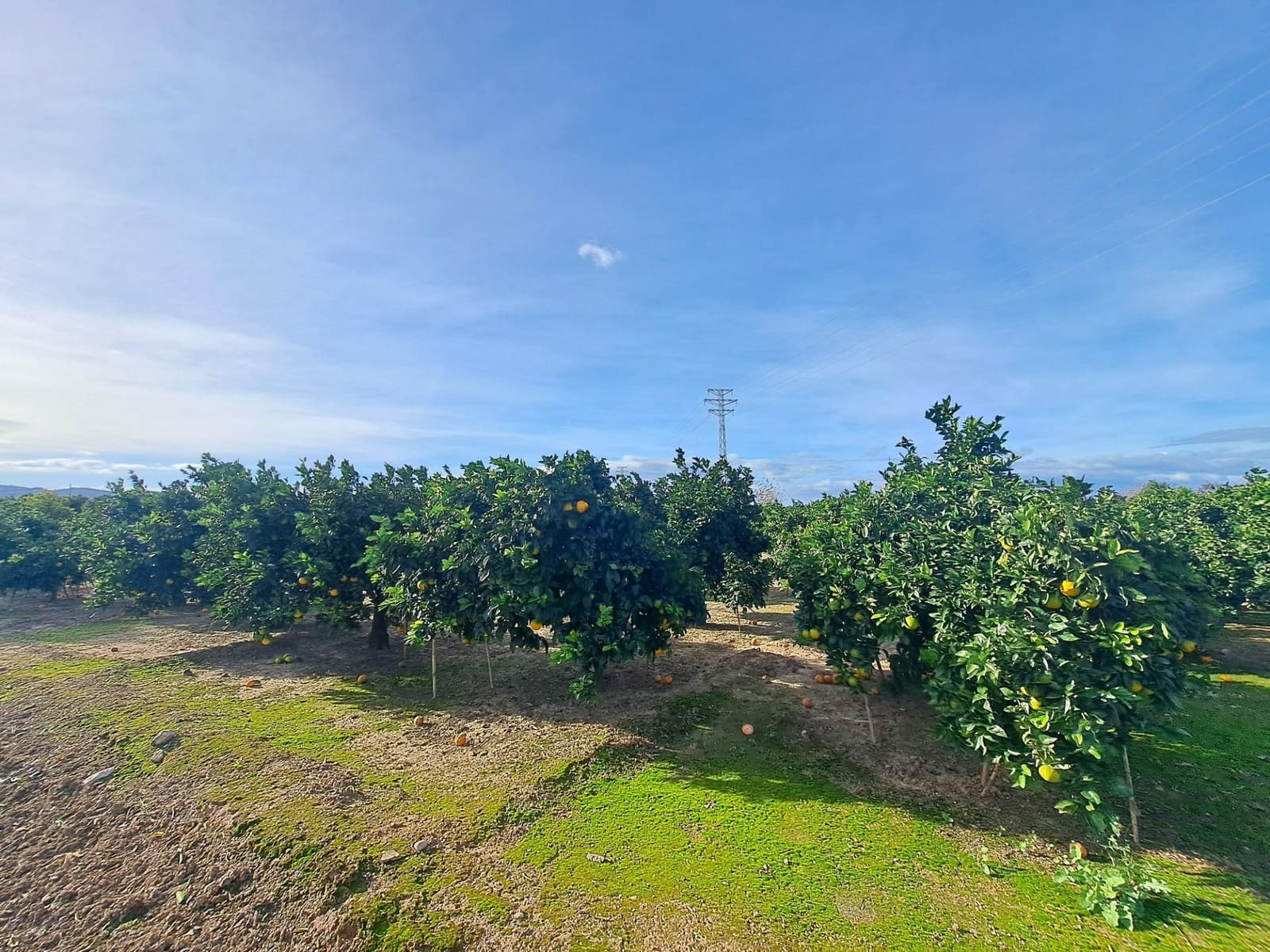 Grond te koop in Alzira - € 35.000 (Ref: 9385563)