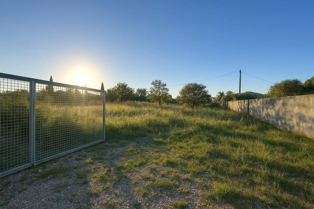 Grunde uden byggetilladelser til salg i Carcaixent - € 40.000 (Ref: 9387869)