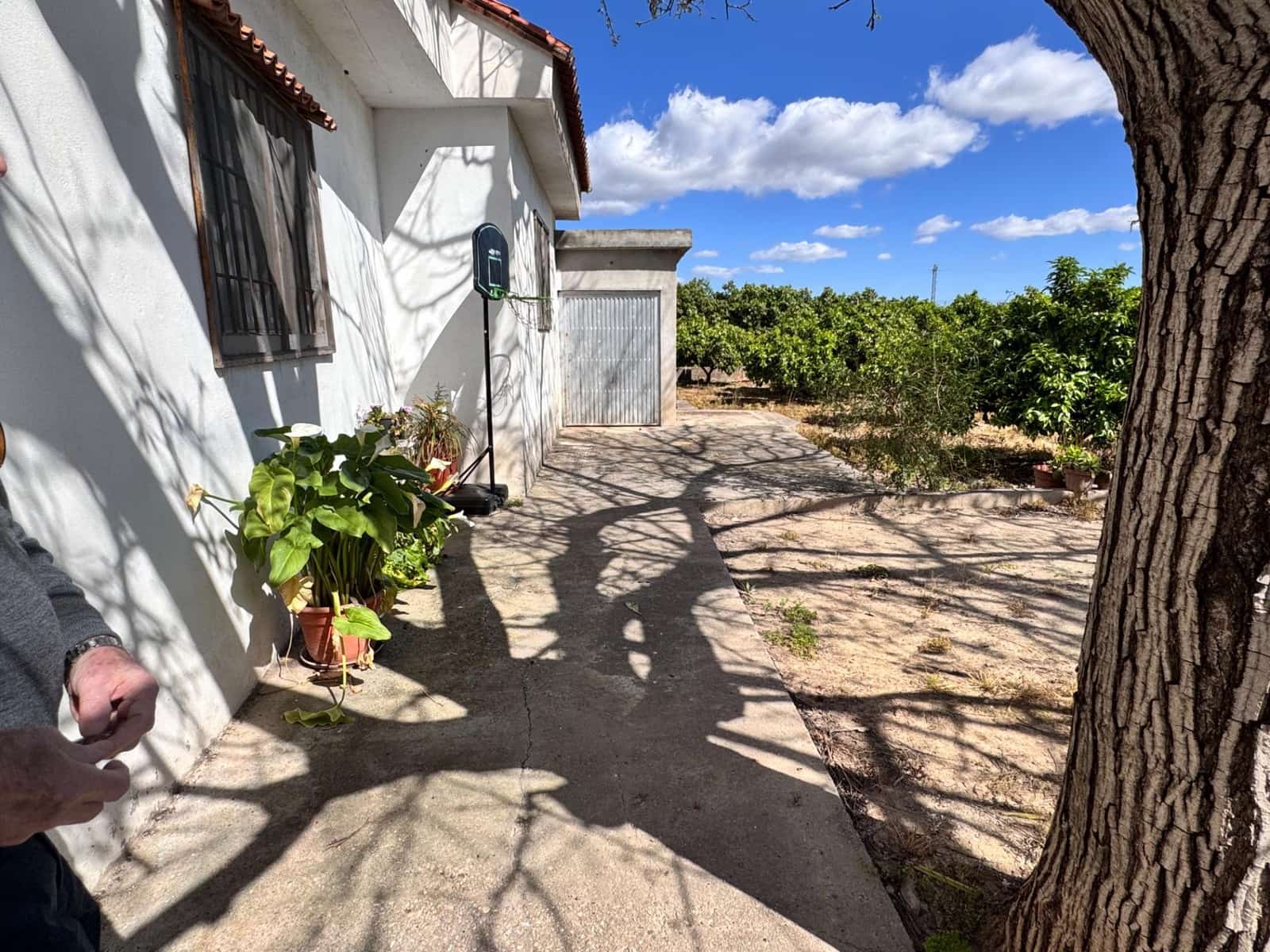 3 sypialnia Finka/Dom wiejski na sprzedaż w Benimuslem z basenem - 106 000 € (Ref: 9395961)