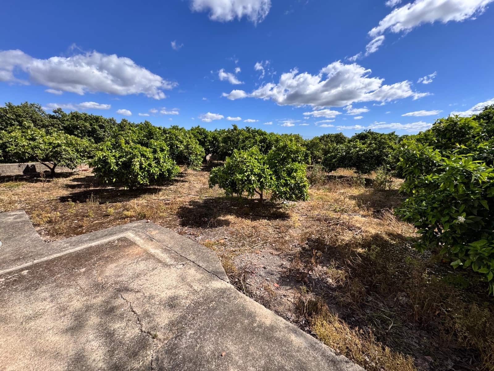 3 sypialnia Finka/Dom wiejski na sprzedaż w Benimuslem z basenem - 106 000 € (Ref: 9395961)