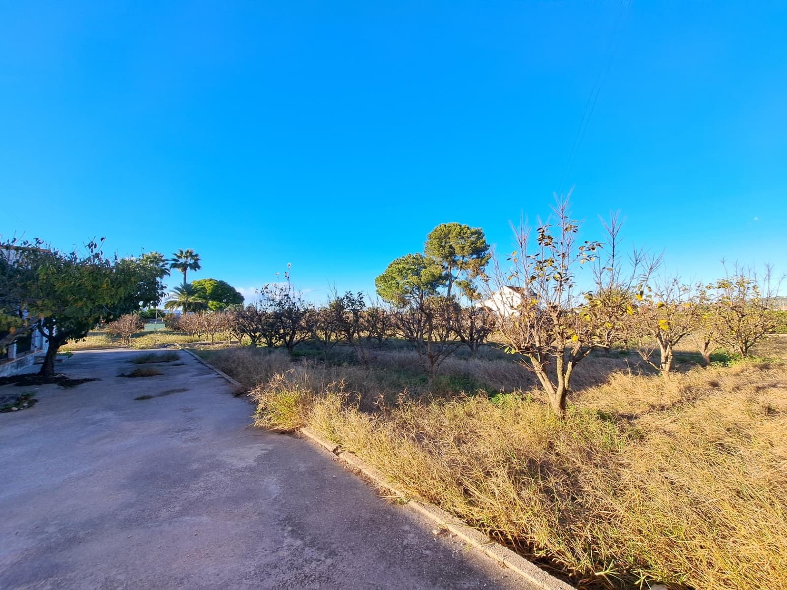 4 bedroom Villa for sale in Alzira with pool garage - € 165,000 (Ref: 9406797)