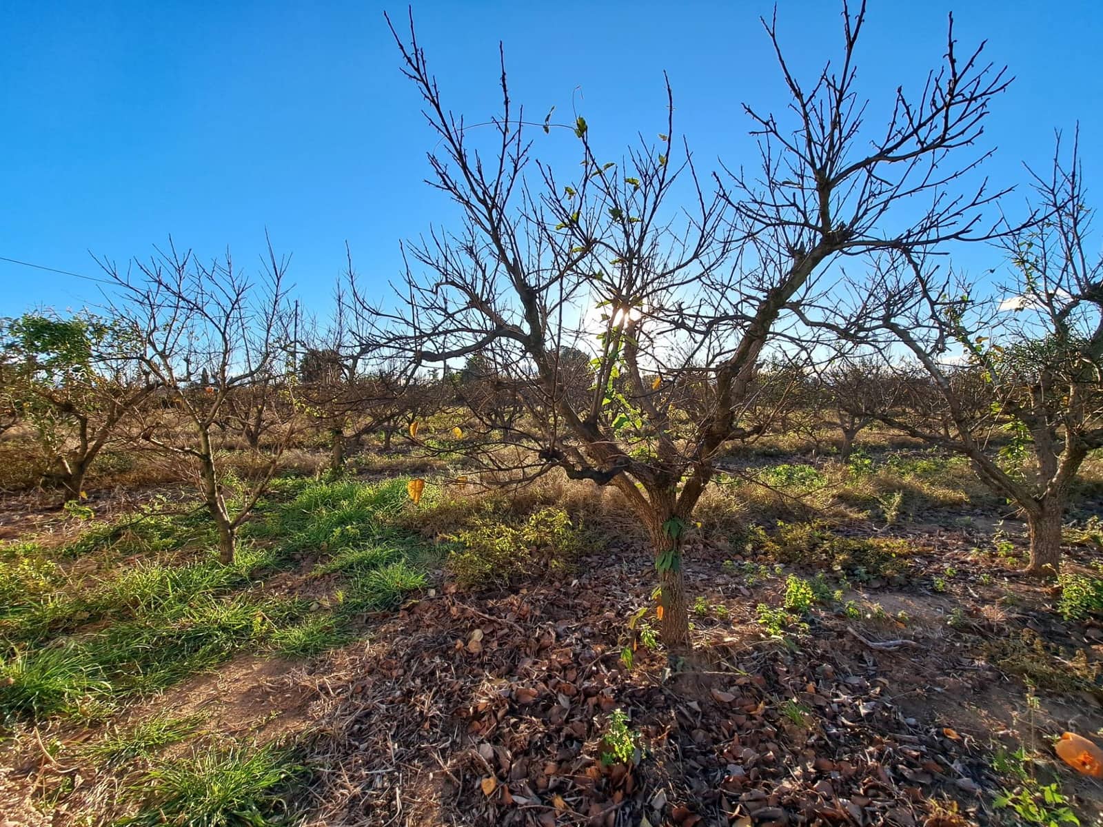 4 bedroom Villa for sale in Alzira with pool garage - € 165,000 (Ref: 9406797)