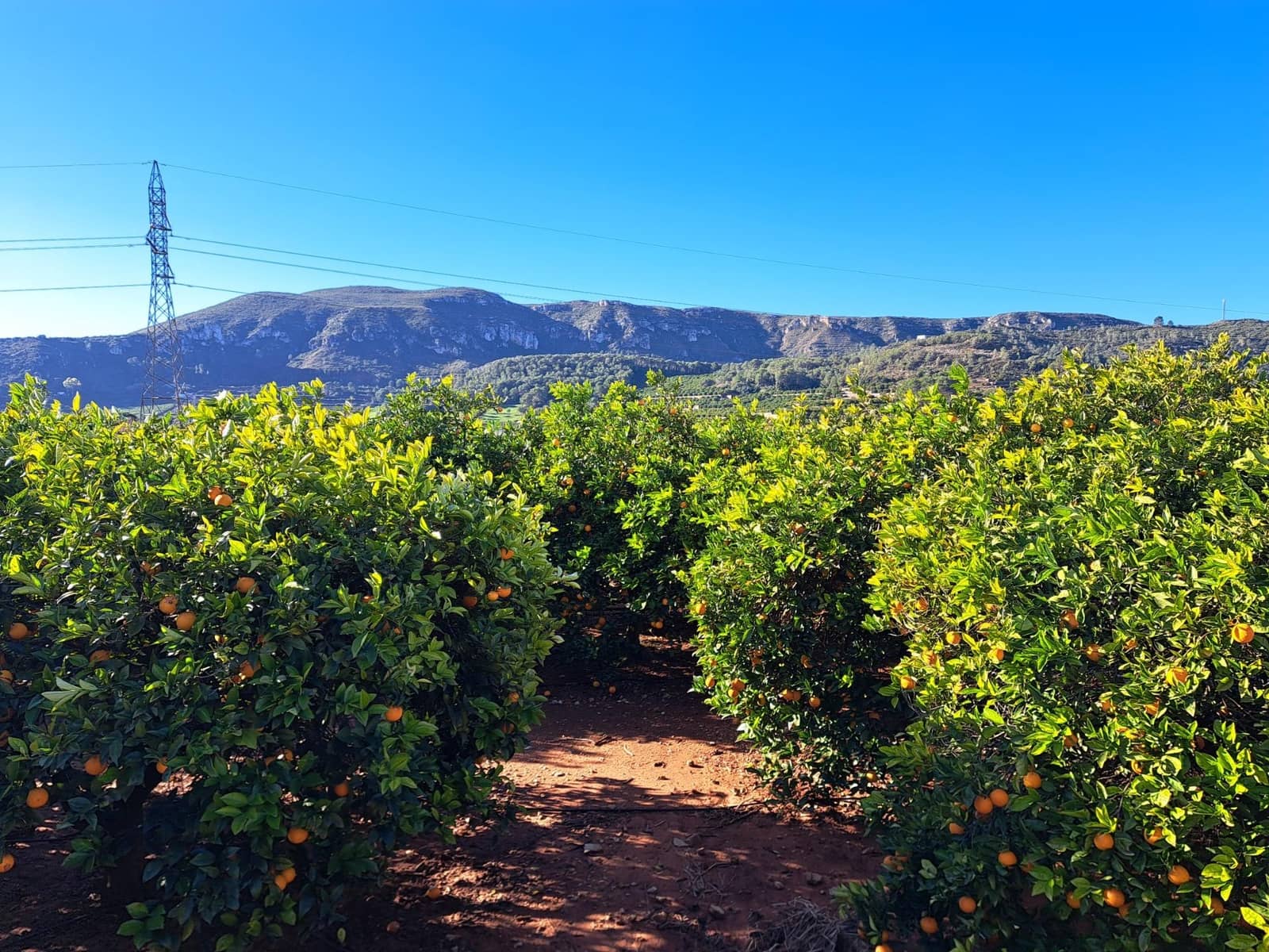 3 bedroom Finca/Country House for sale in Alzira with pool garage - € 140,000 (Ref: 9483520)
