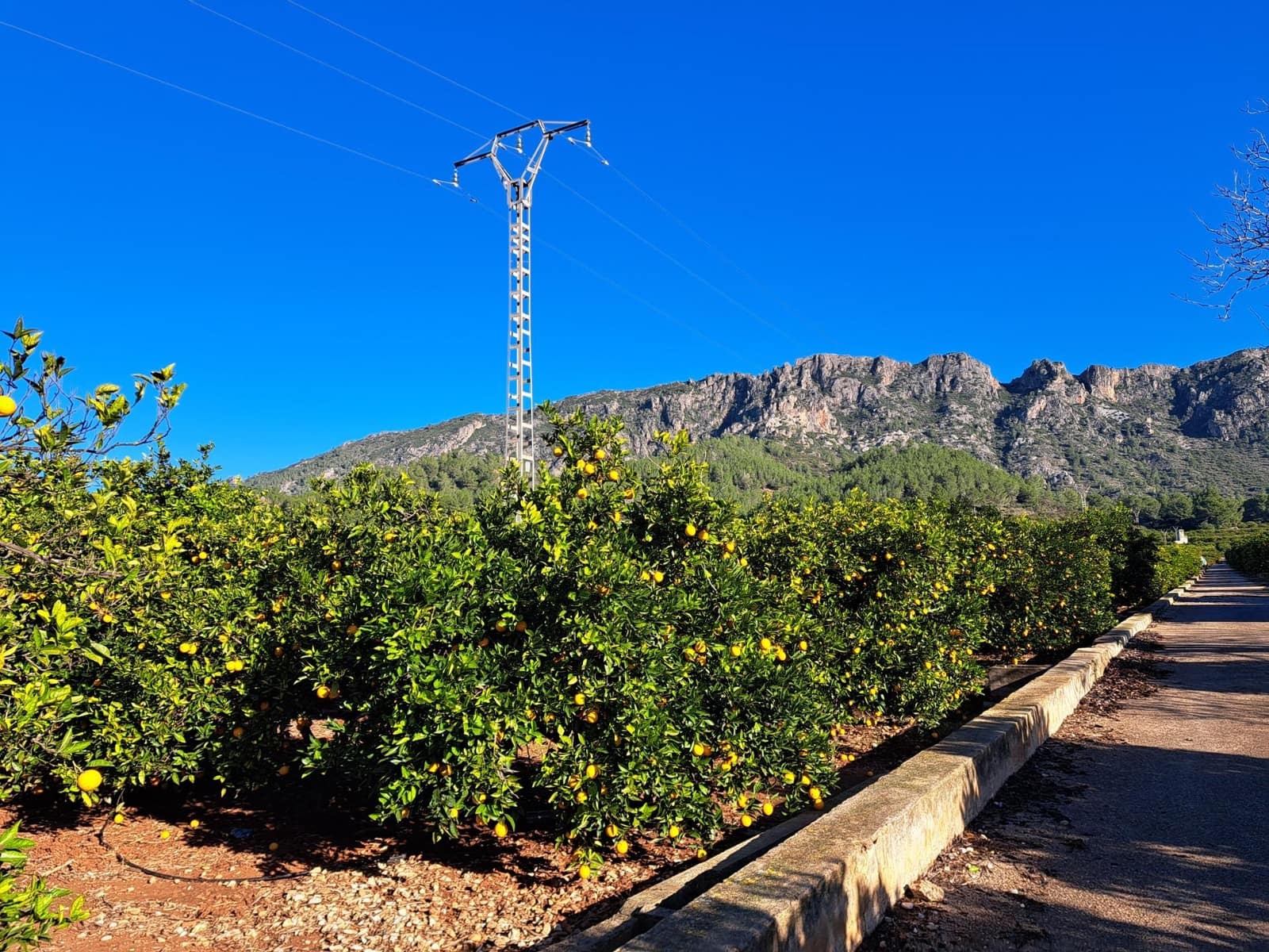 3 bedroom Finca/Country House for sale in Alzira with pool garage - € 140,000 (Ref: 9483520)