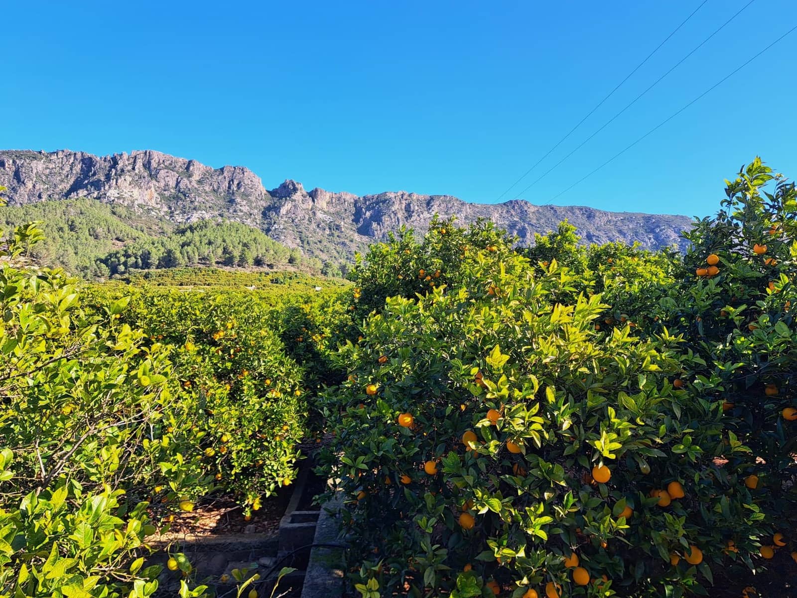 3 bedroom Finca/Country House for sale in Alzira with pool garage - € 140,000 (Ref: 9483520)