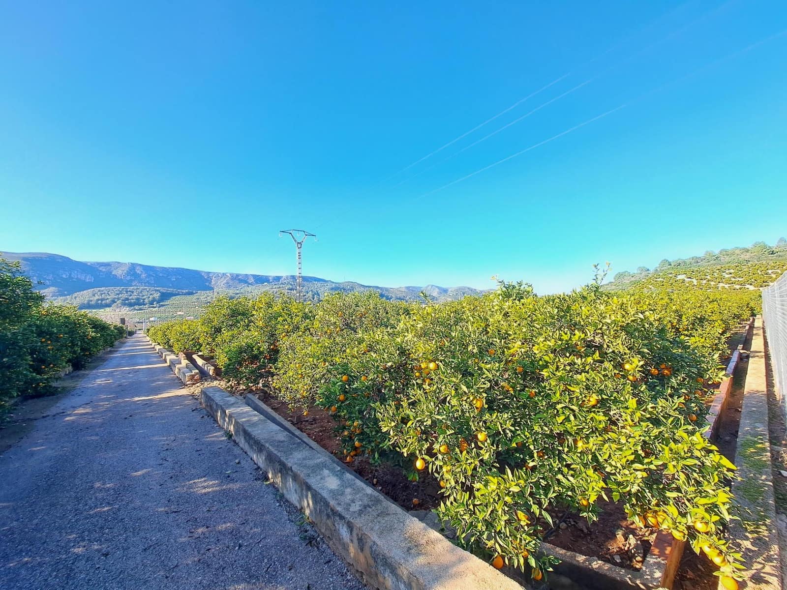 3 bedroom Finca/Country House for sale in Alzira with pool garage - € 140,000 (Ref: 9483520)