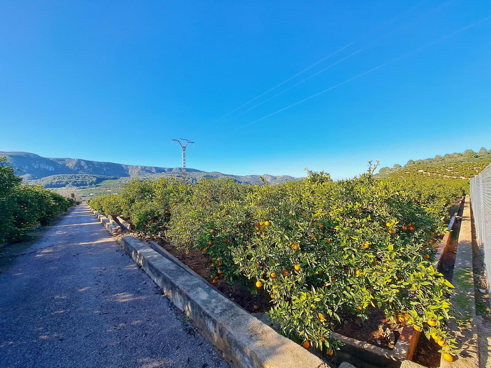 3 bedroom Finca/Country House for sale in Alzira with pool garage - € 140,000 (Ref: 9483520)