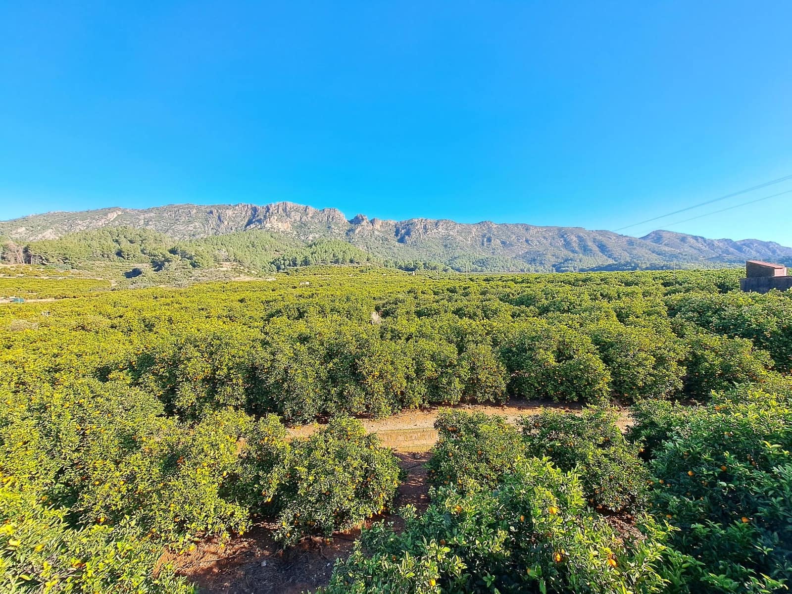 3 bedroom Finca/Country House for sale in Alzira with pool garage - € 140,000 (Ref: 9483520)