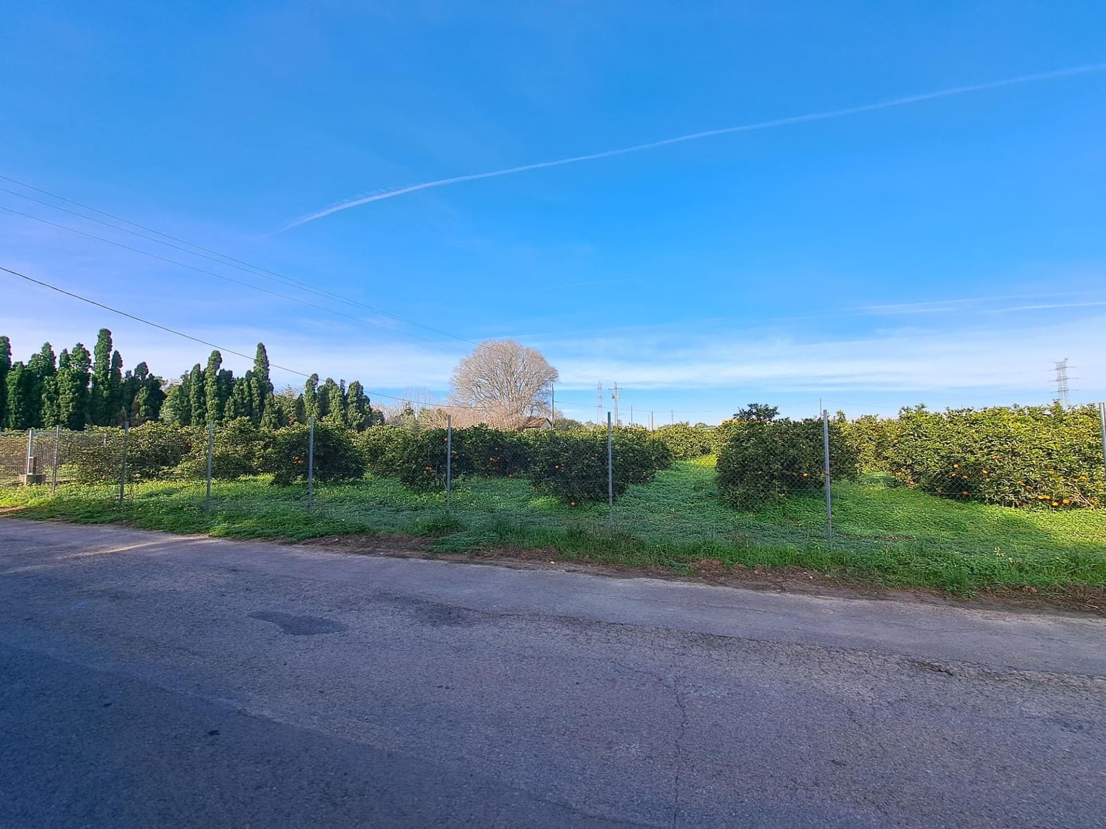 Teren niezagospodarowany na sprzedaż w Alzira - 130 000 € (Ref: 9504246)