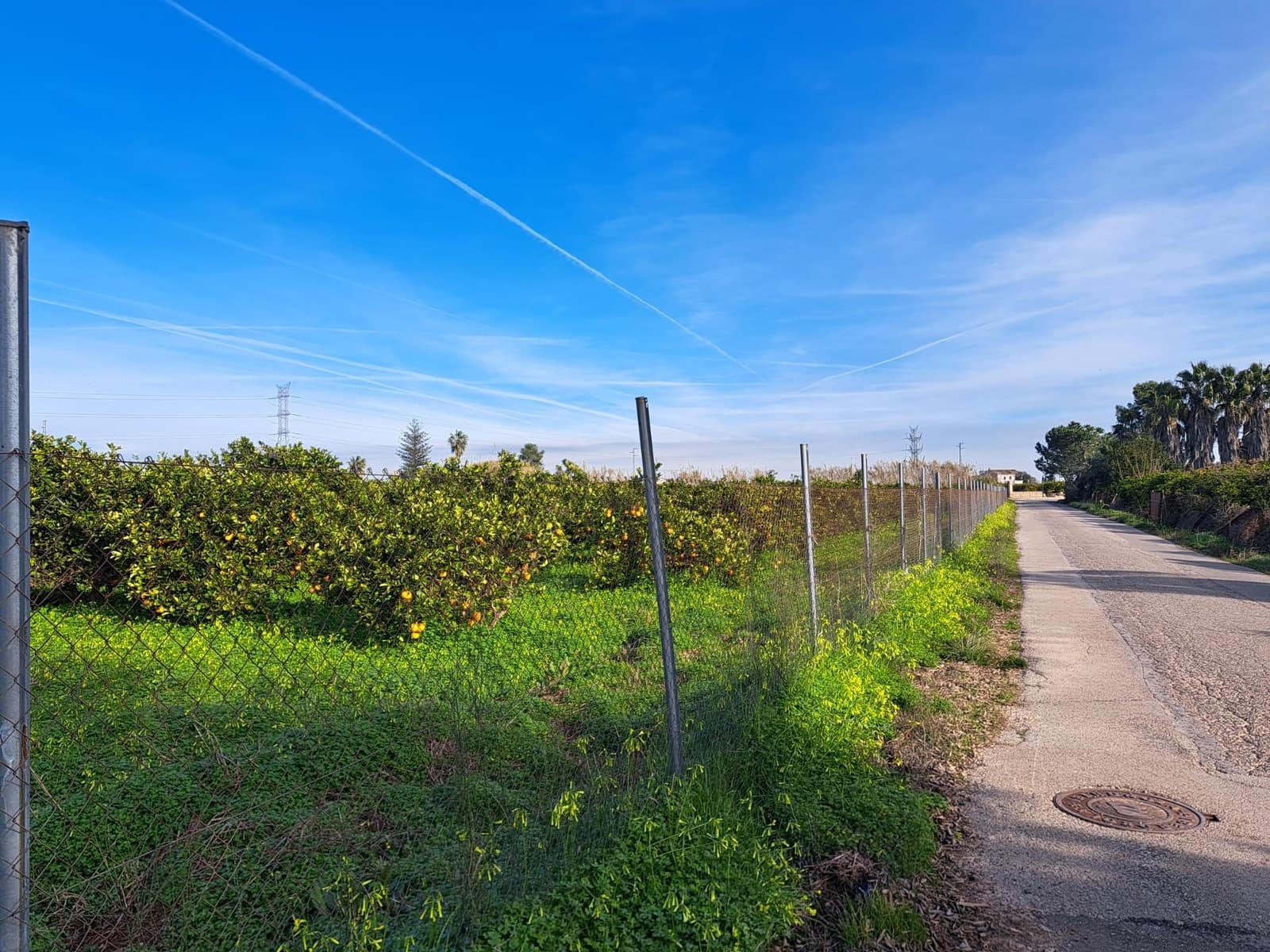 Teren niezagospodarowany na sprzedaż w Alzira - 130 000 € (Ref: 9504246)