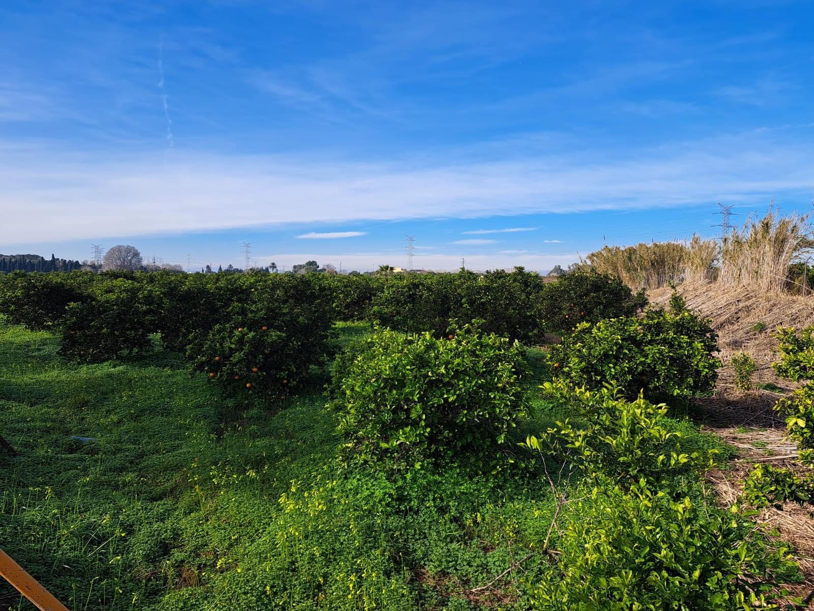 Teren niezagospodarowany na sprzedaż w Alzira - 130 000 € (Ref: 9504246)