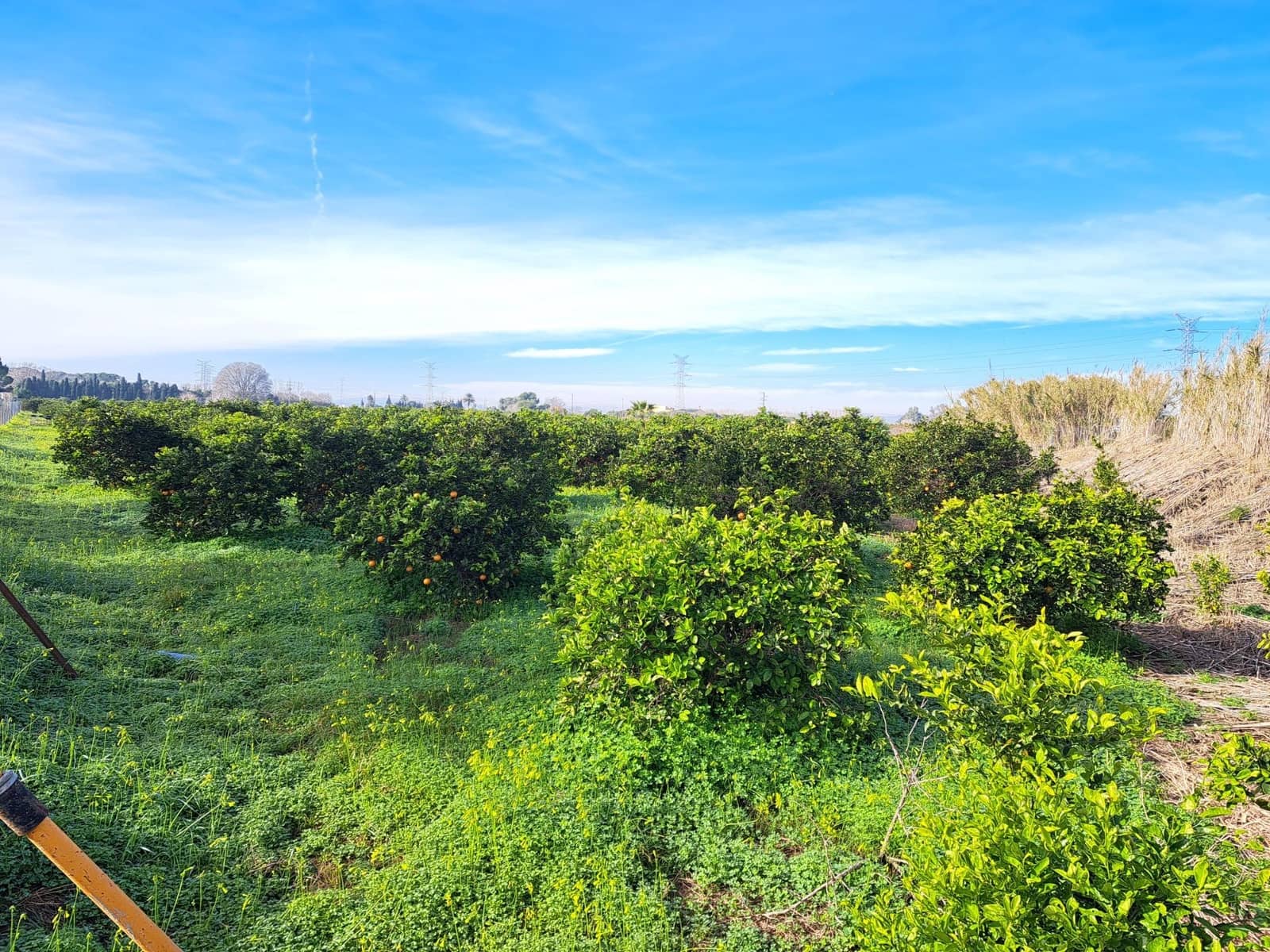 Teren niezagospodarowany na sprzedaż w Alzira - 130 000 € (Ref: 9504246)