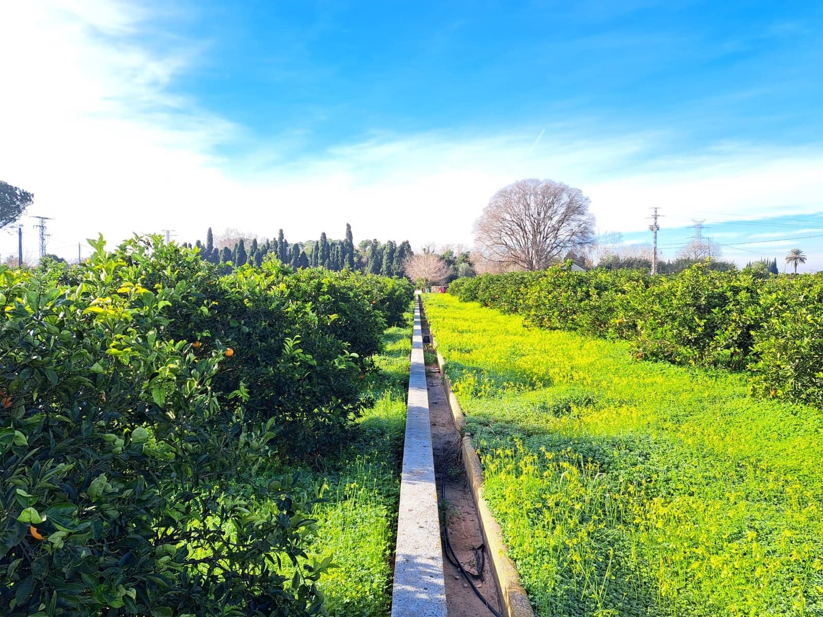 Teren niezagospodarowany na sprzedaż w Alzira - 130 000 € (Ref: 9504246)