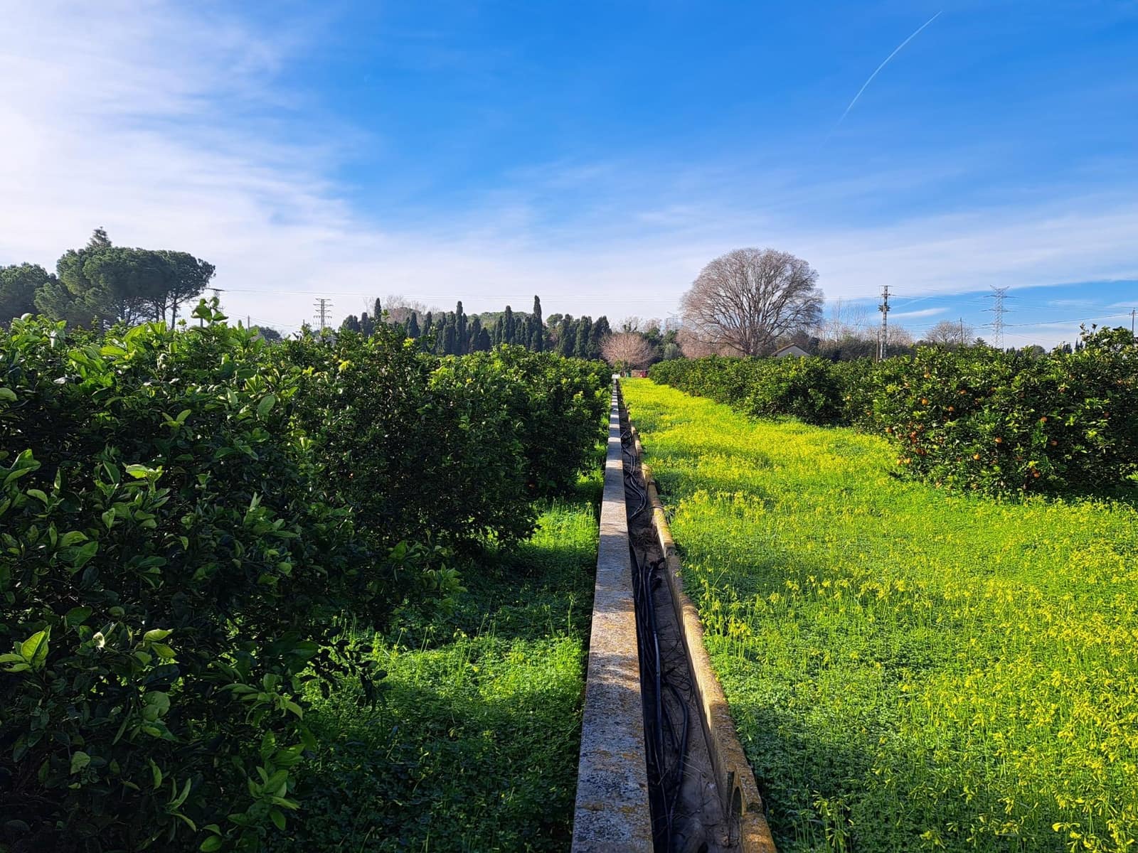 Teren niezagospodarowany na sprzedaż w Alzira - 130 000 € (Ref: 9504246)