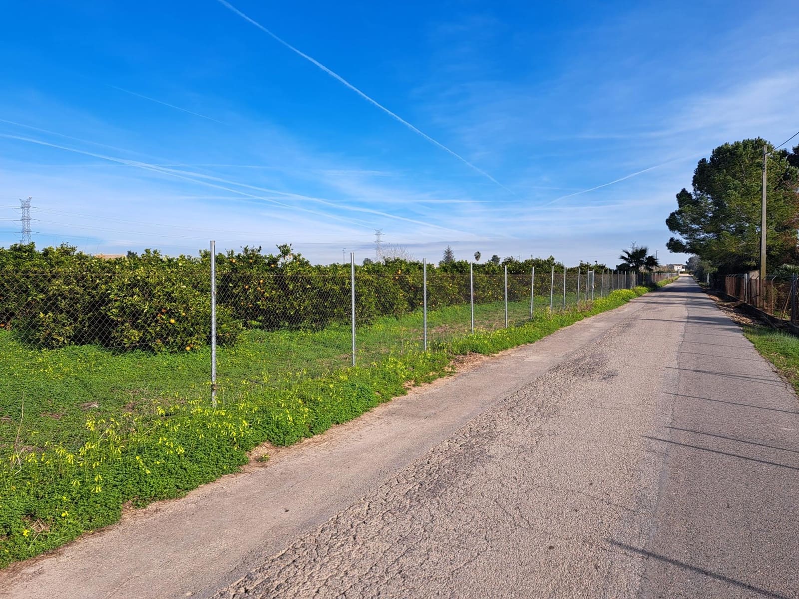 Teren niezagospodarowany na sprzedaż w Alzira - 130 000 € (Ref: 9504246)