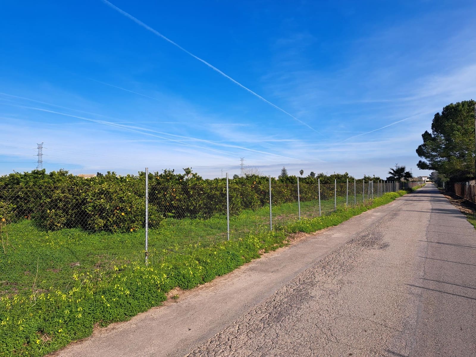 Teren niezagospodarowany na sprzedaż w Alzira - 130 000 € (Ref: 9504246)