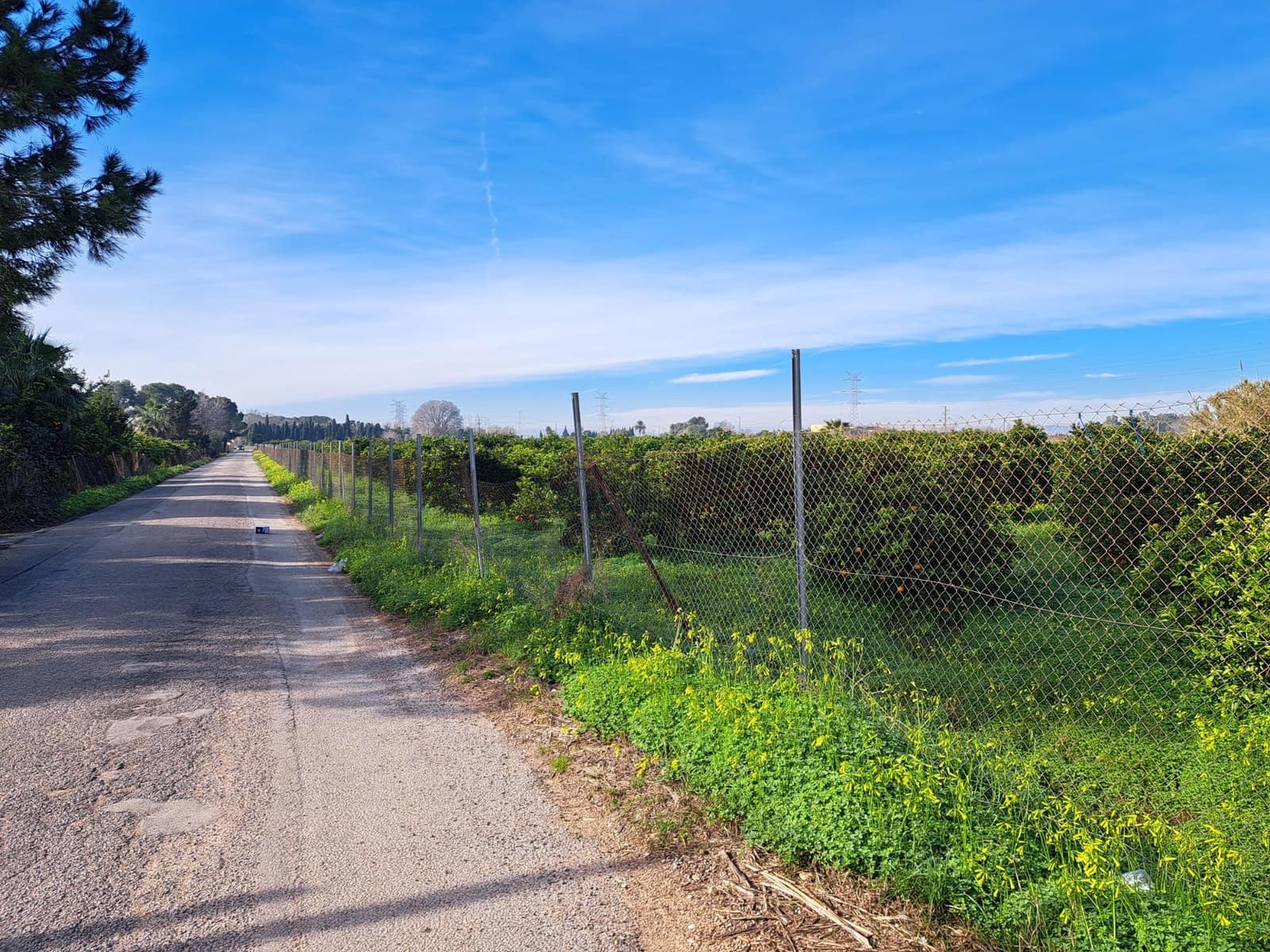 Teren niezagospodarowany na sprzedaż w Alzira - 130 000 € (Ref: 9504246)