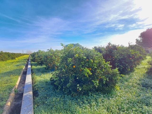 Teren niezagospodarowany na sprzedaż w Alzira - 130 000 € (Ref: 9504246)