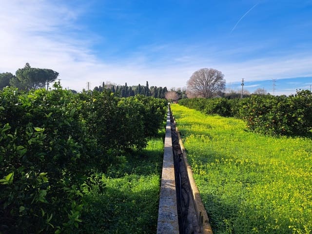 Teren niezagospodarowany na sprzedaż w Alzira - 130 000 € (Ref: 9504246)