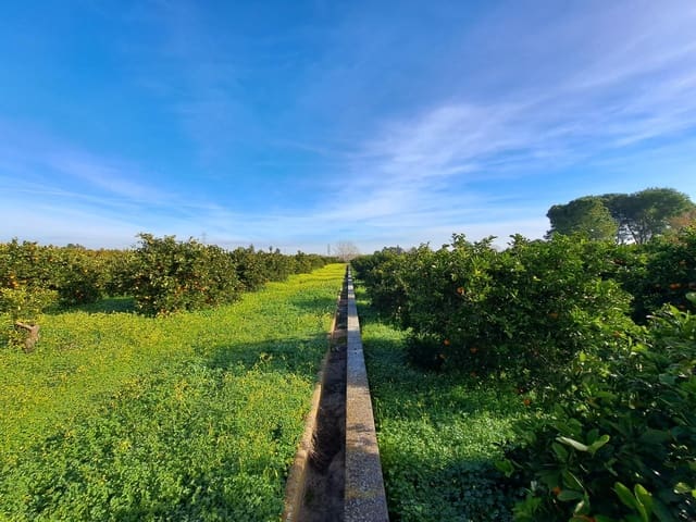 Teren niezagospodarowany na sprzedaż w Alzira - 130 000 € (Ref: 9504246)